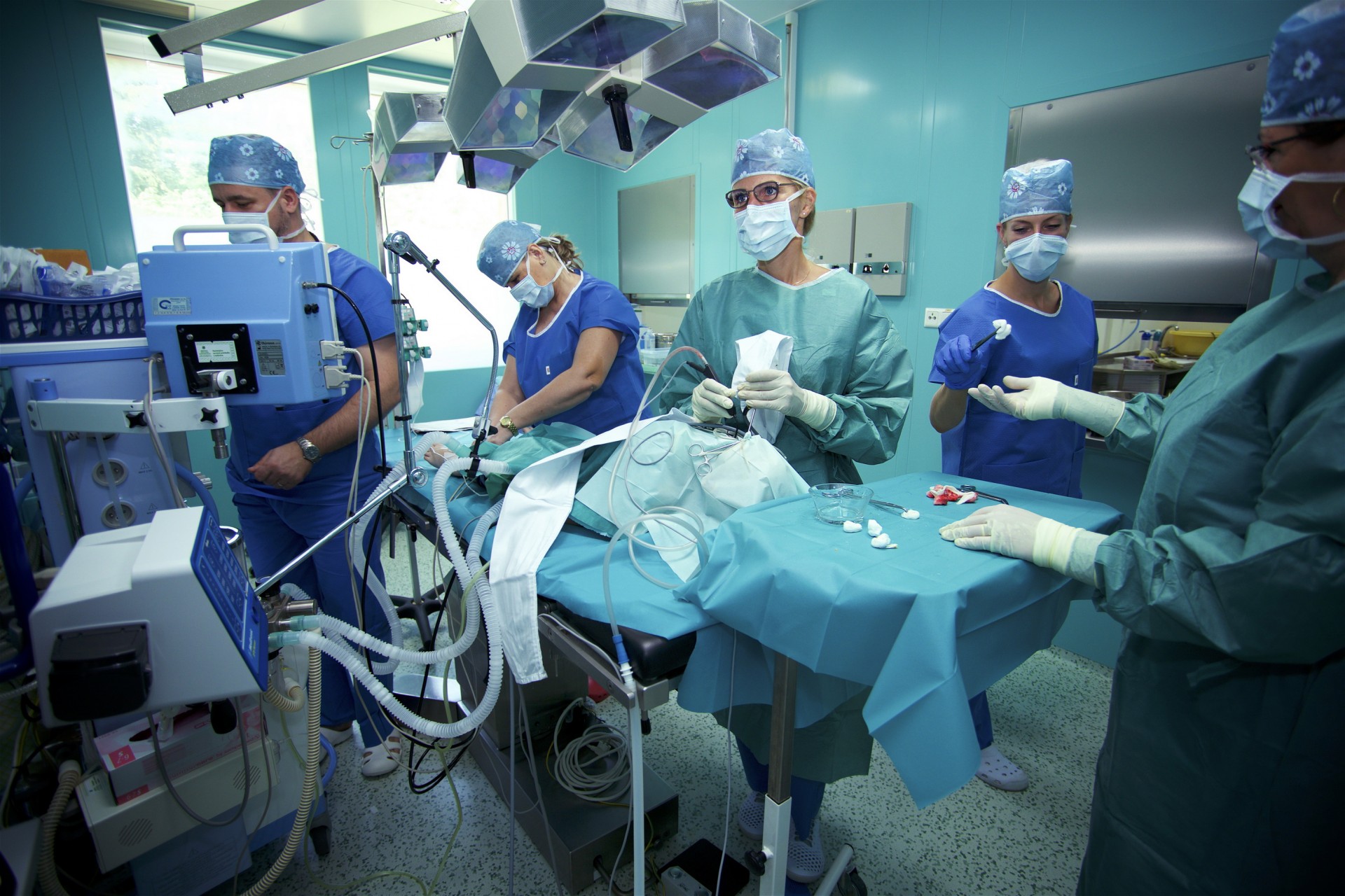 Jednodňová chirurgia SK-MED – NOVAMED Banská Bystrica